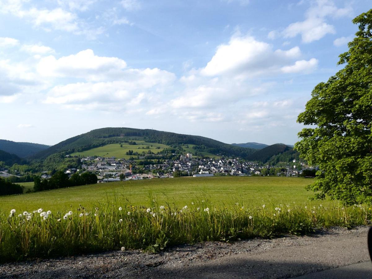 Fewo Bergperle Willingen  Exterior foto